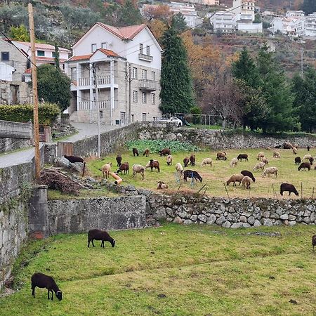 Casa Da Cantareira Loriga Eksteriør billede